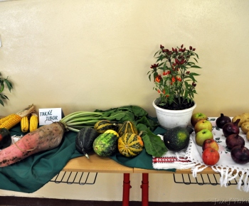 Výstava ovocia a zeleniny 2017