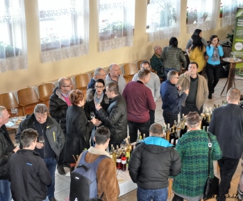 Tokajský strapec - piaty ročník súťaže a výstavy vín - odborná d